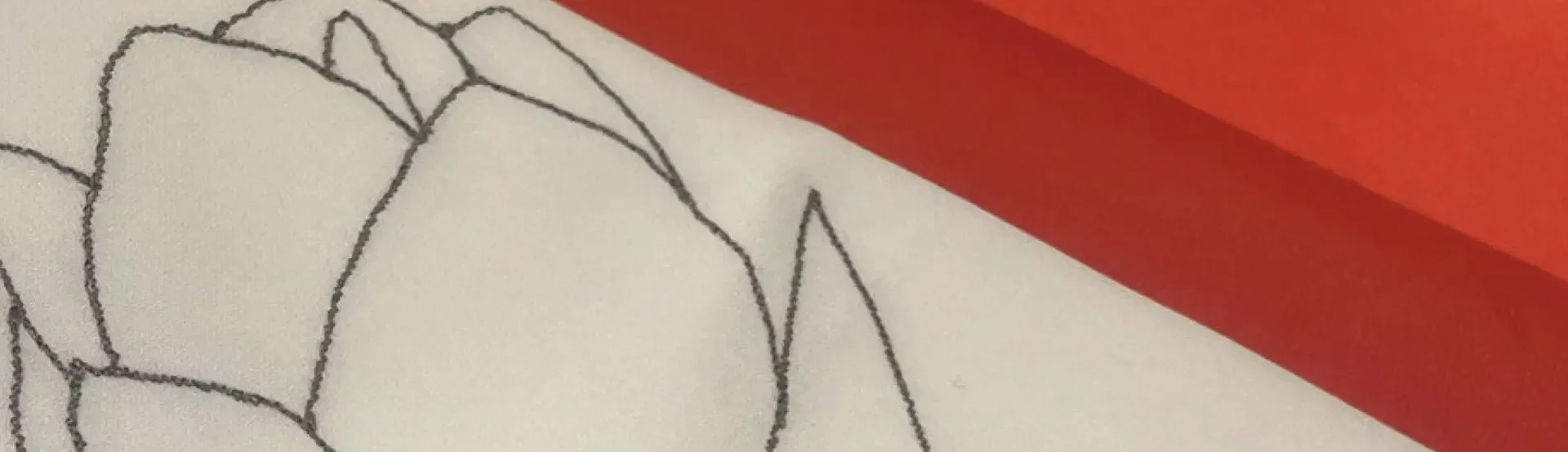 Francisco Costa: First Lady