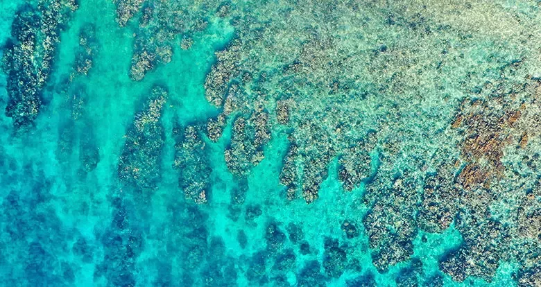 Roatan Coffee Table Book