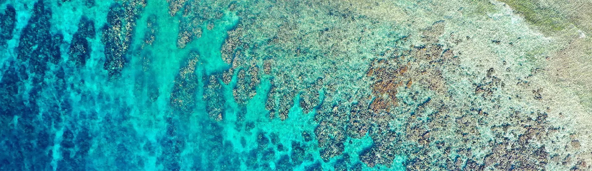 Roatan Coffee Table Book